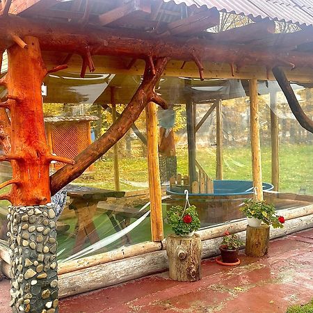 מלון Ocna Şugatag Casa Marinca מראה חיצוני תמונה