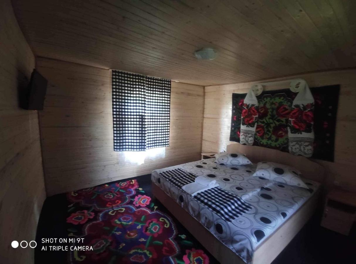 מלון Ocna Şugatag Casa Marinca מראה חיצוני תמונה
